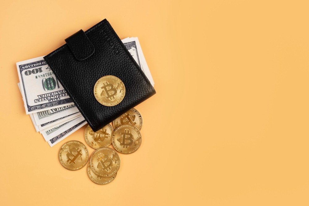 The Importance of Bitcoin Savings for Future Financial Stability