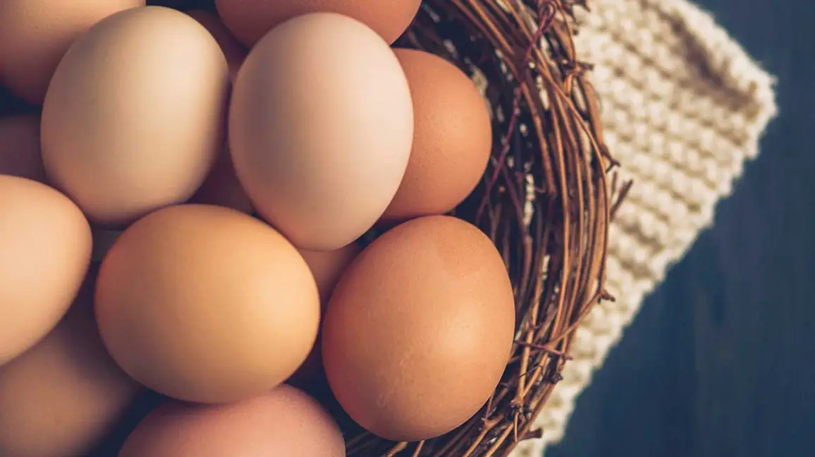 Top 10 Surprising Health Benefits of Adding Eggs to Your Daily Diet