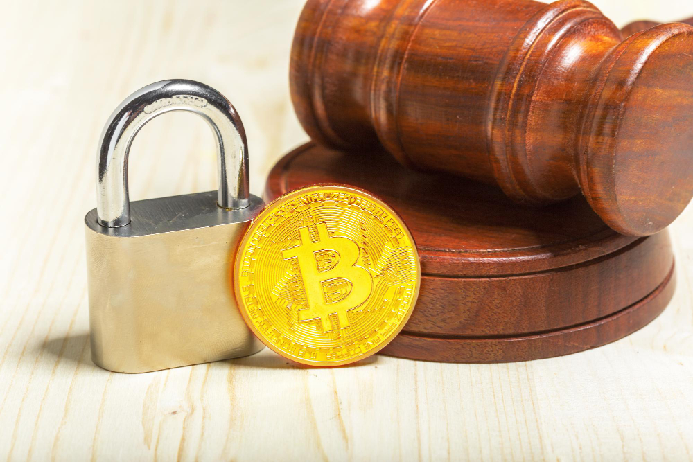 Regulatory Influence on Cryptocurrency Adoption