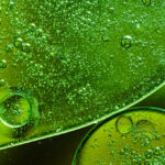 Nature’s Cellulose-Cleaving Enzyme Could Revolutionize Biofuel Production