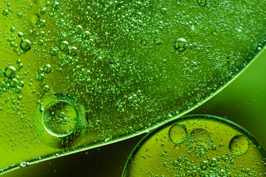 Nature’s Cellulose-Cleaving Enzyme Could Revolutionize Biofuel Production