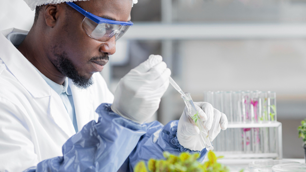 Optimization Tips for Maximum RNA Yield and Quality