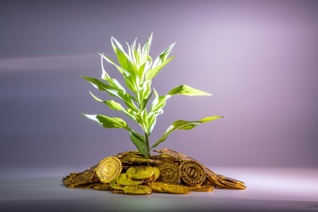 Building a Resilient Investment Portfolio