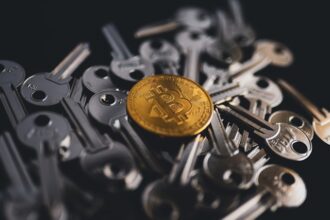 Exploring Key Factors that Influence Cryptocurrency Adoption Perception