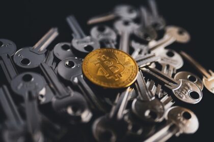 Exploring Key Factors that Influence Cryptocurrency Adoption Perception