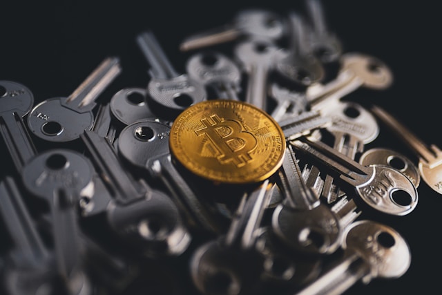 Exploring Key Factors that Influence Cryptocurrency Adoption Perception