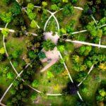 Eco-Innovation at Work: How Green Technology Is Driving the Circular Economy Forward
