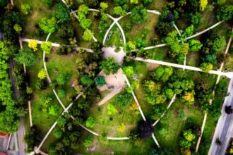 Eco-Innovation at Work: How Green Technology Is Driving the Circular Economy Forward