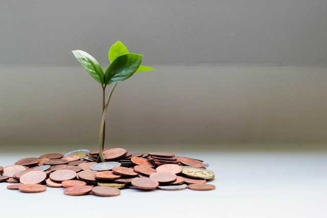 Investing During Inflation: Preserving and Growing Wealth