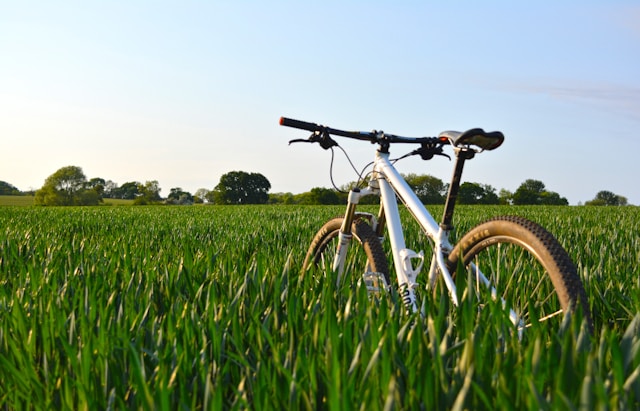 Nutrient Cycling and Soil Fertility