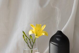 The Complete Guide to Choosing the Best Air Purifier for Allergies